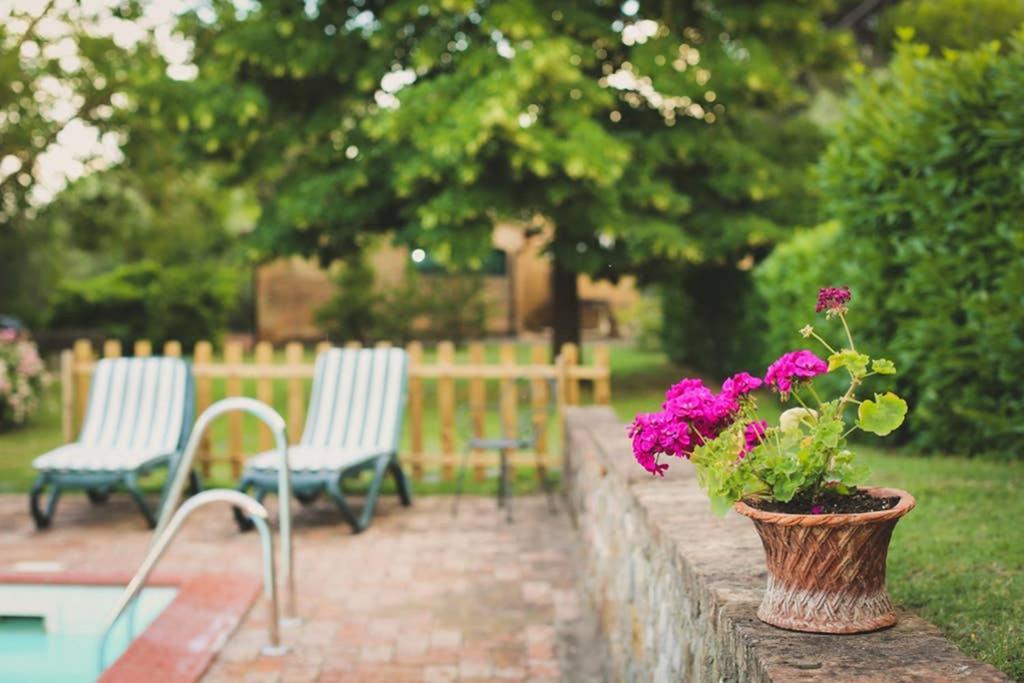 Villa Capannina Vico d'Arbia Екстериор снимка